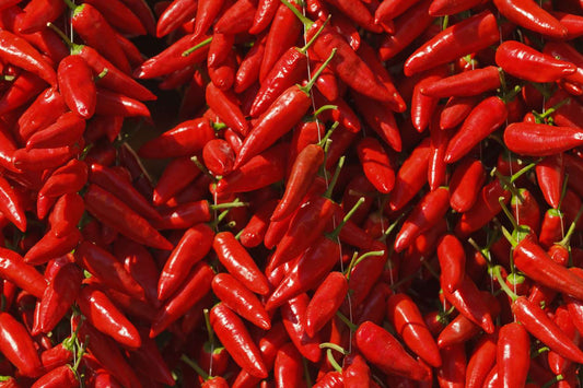 Calabrian Chili infused Olive Oil